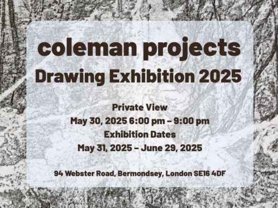 coleman projects drawing exhibition 2025