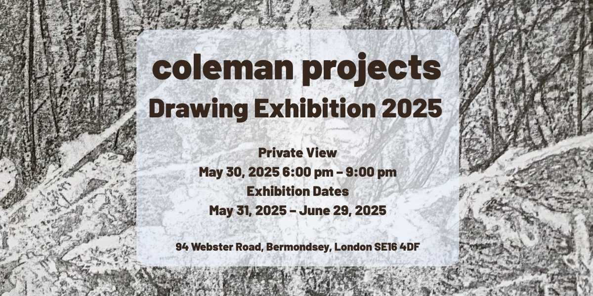 coleman projects drawing exhibition 2025
